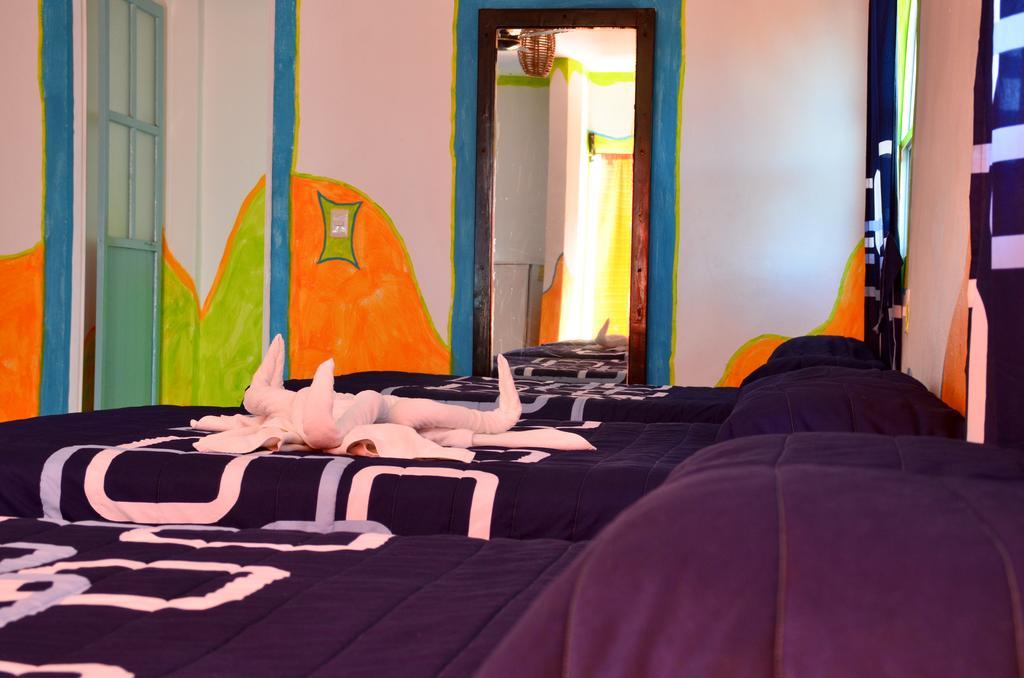 Adventure Experience Hotel Плайя-дель-Кармен Екстер'єр фото